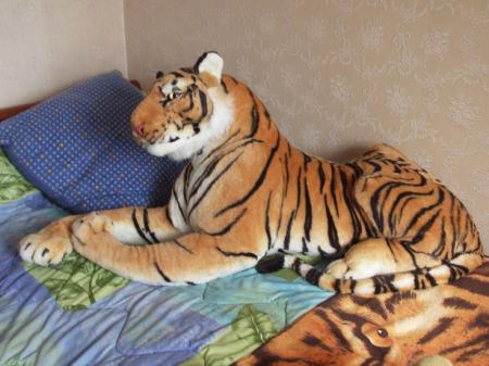 Ma peluche